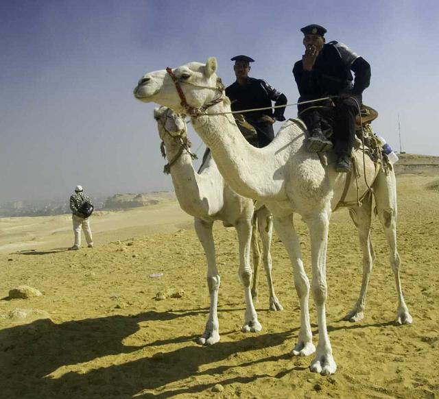 Giza Pyramids IMGP4587.jpg